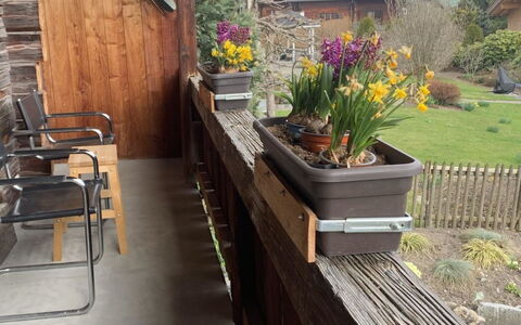 Gartenstudio Belle Vue: Træ, Hårdttræ, Bejdse, Altan, Planke, Blomsterkrukke, Stueplante, Udendørs Struktur, Udendørs Møbler, Tømmer