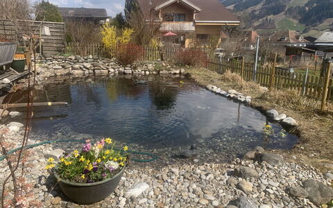 Gartenstudio Belle Vue: Vand, Rots, Dam, Have, Backyard, Landscaping, Afspejling, Water Feature, Fiskedam, Gård