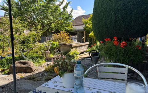 Gartenstudio Belle Vue: Grøn, Møbel, Busk, Have, Stol, Blomsterkrukke, Bord, Udendørs Møbler, Udendørs Bord