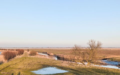 Wischhafen 648: Himmel, Naturligt Miljø, Naturlige Landskab, Marsk, Økoregion, Almindeligt, Græs-
