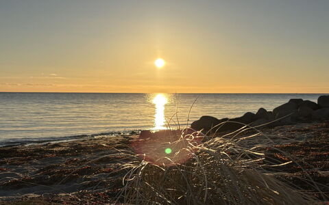 Eleni - 3M from the Sea: Sol, Vand, Horisont, Solopgang, Solnedgang, Hav, Sommer, Sollys