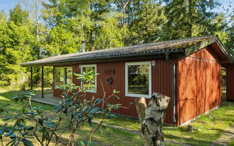 Sigge - 5Km from the Sea: Træ, Hjem, Veranda, Dæk, Hårdttræ, Tag, Bejdse, Trægulve, Eco Hotel