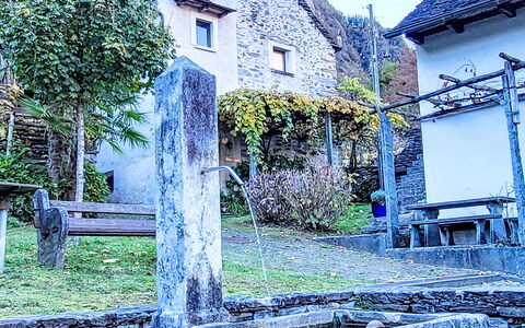 Casa Sambuco: Bjergkæde, Dal, Alps, Kam, Topmøde, Hovedkvarter