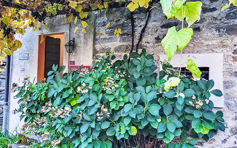 Casa Sambuco: Bjergkæde, Dal, Alps, Kam, Topmøde, Hovedkvarter