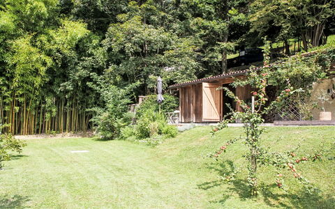 Uggine 66: Have, Skygge, Lawn, Landscaping, Gård, Parkere