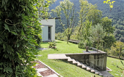 Uggine 66: Have, Skygge, Lawn, Landscaping, Gård, Parkere