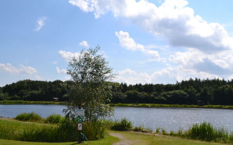 Biergh - 30Km from the Sea: Vand, Vandressourcer, Krop Af Vand, Grøn, Vandløb, Bank, Vandvej, Sø