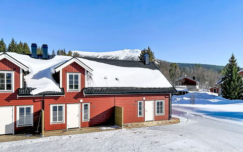 Svanhågna Gård: Træ, Sommerhus, Hjem, Hus, Tag, Sidespor, Vinter, Sne, Fryser, Hældning