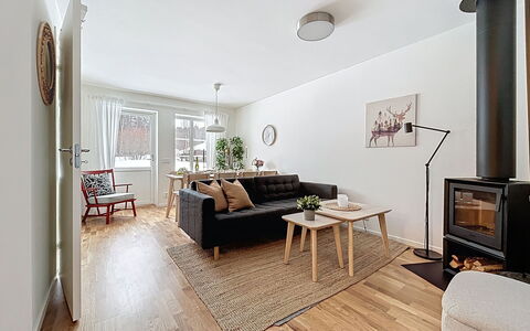 Svanhågna Gård: Træ, Sommerhus, Hjem, Hus, Tag, Sidespor, Vinter, Sne, Fryser, Hældning