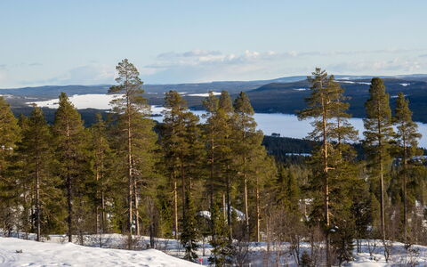 Svanhågna Gård: Træ, Sommerhus, Hjem, Hus, Tag, Sidespor, Vinter, Sne, Fryser, Hældning