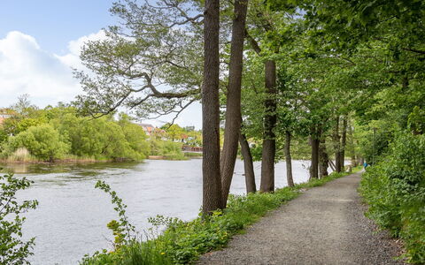 Alegränd: Vand, Vandressourcer, Krop Af Vand, Træ, Grøn, Natur, Naturligt Miljø, Blad, Naturlige Landskab