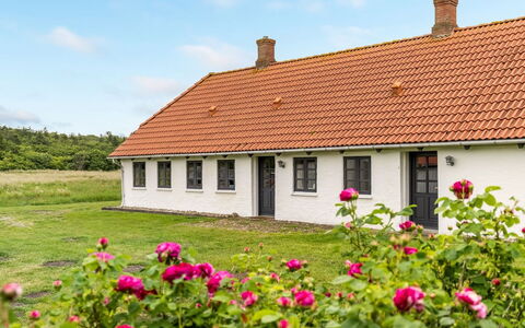 Nette - 15Km from the Sea: Himmel, Græs, Tag, Hus, Hjem, Sommerhus, Almindeligt, Landdistrikt, Landskab, Græs-