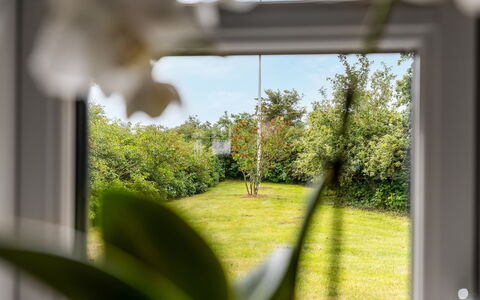 Nette - 15Km from the Sea: Blad, Vegetationen, Land Lot, Forår, Sollys, Vedplante, Have, Glas, Lawn