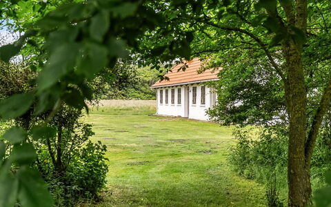 Nette - 15Km from the Sea: Træ, Græs, Blad, Busk, Landdistrikt, Land Lot, Almindeligt, Hjem, Sommerhus, Lawn