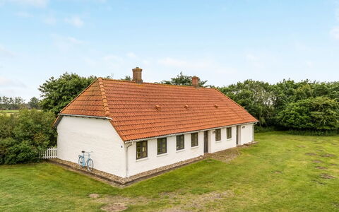 Nette - 15Km from the Sea: Himmel, Græs, Tag, Hus, Sommerhus, Almindeligt, Landdistrikt, Landskab, Hjem, Græs-