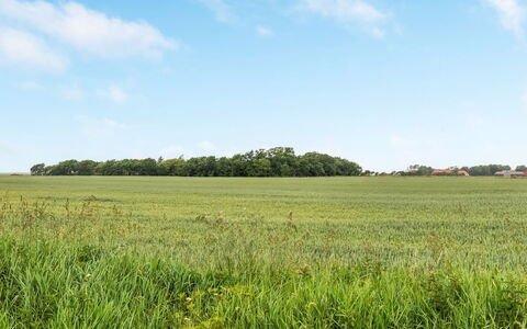 Nette - 15Km from the Sea: Himmel, Blå, Grøn, Daytime, Græs, Naturligt Miljø, Græs-, Mark, Almindeligt, Naturlige Landskab