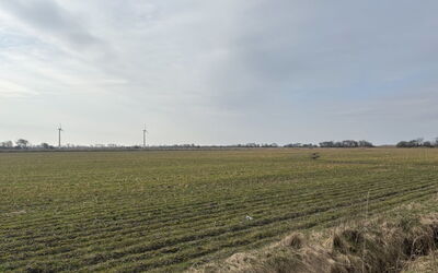 Nette - 15Km from the Sea
