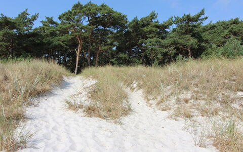 Yaris - 4.5Km from the Sea: Blå, Sommerhus, Hus, Hjem, Stuehus, Estate, Sidespor