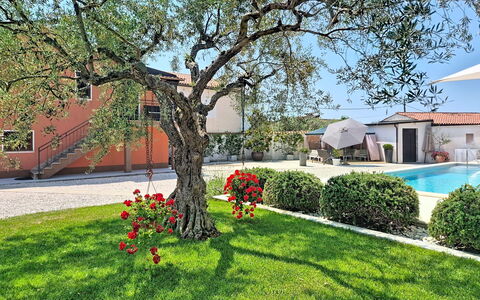 Villa Roza: Hus, Have, Skygge, Estate, Hacienda, Landscaping, Gård, Gårdsplads, Villa