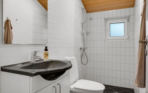 Erikka - 40Km from the Sea: Sanitærarmatur, Gulvbelægning, Væg, Indretning, Etage, Badeværelse, Håndvask, Badeværelsesvask, Tap, Loft