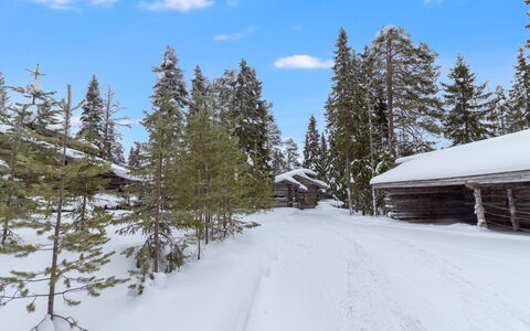 Rukastuga: Sne, Træ, Afdeling, Vinter, Fryser, Lærk, Skov, Hældning, Hill Station