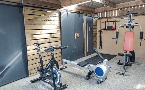 Le Duc: Træningsudstyr, Gulvbelægning, Gym, Etage, Værelse, Øvelse Maskine, Vægtløftning Machine, Kælder