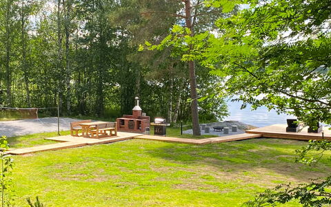 Aurinko Vanaja: Træ, Træ, Have, Forår, Skygge, Parkere, Woodland, Landscaping, Hårdttræ