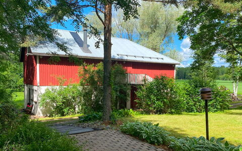 Aurinko Vanaja: Grøn, Blad, Træ, Busk, Hus, Sommerhus, Land Lot, Landdistrikt, Hjem