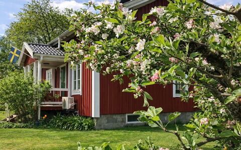Heagård: Udvej, Svømmepøl, Hotel, Ferieby, Badeby, Hacienda, Thermae, Tropics, Villa