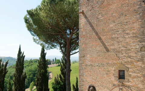 Castello di Cabbiavoli: Væg, Arkitektur, Busk, Mursten, Murværk, Landscaping, Stenmur, Estate, Have, Hæk