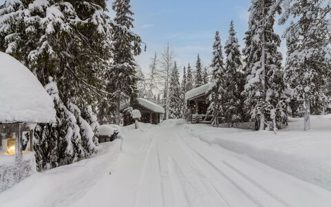 Mäkikelo: Sne, Afdeling, Vinter, Træ, Fryser, Geologiske Fænomen, Hældning, Frost, Lærk, Sommerhus