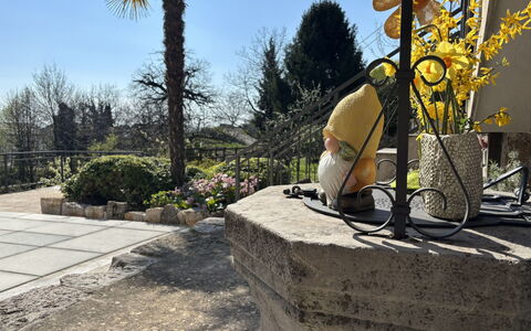 Orbani: Busk, Blomsterkrukke, Have, Flise, Landscaping, Stueplante, Walkway, Blomsterhandlere