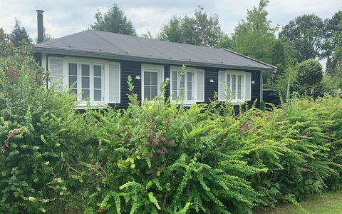 Har - 685M from the Sea: Busk, Have, Evergreen
