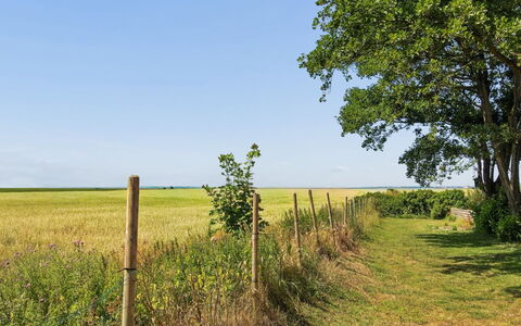 Milan - 20Km from the Sea: Himmel, Blå, Grøn, Græs, Græs-, Naturlige Landskab, Almindeligt, Mark, Sommer, Land Lot