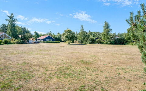 Safina - 1Km from the Sea: Himmel, Blå, Almindeligt, Landskab, Land Lot, Landdistrikt, Mark, Lawn, Eng, Pasture