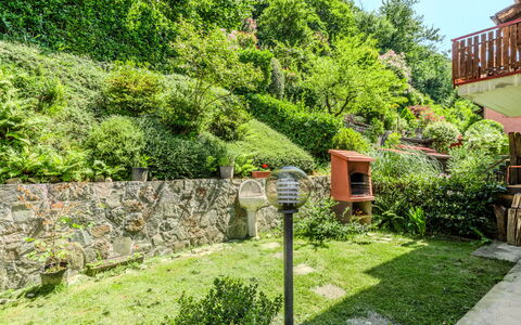 Lidia: Grøn, Busk, Have, Plantesamfund, Bunddække, Landscaping, Gård, Backyard, Botanisk Have
