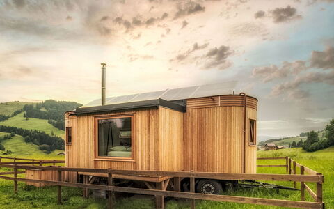 Boutique Tiny House: Bejdse, Hårdttræ, Bjælkehytte, Garden Bygninger