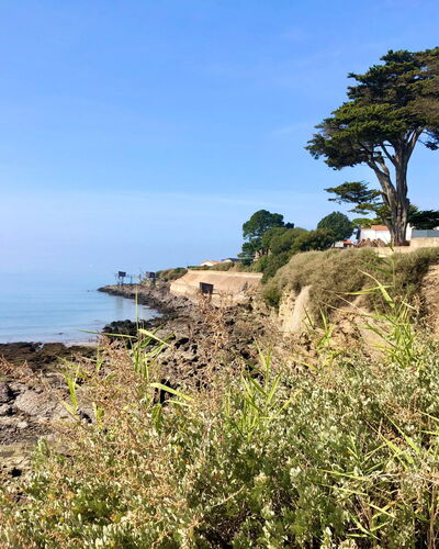 La Potée