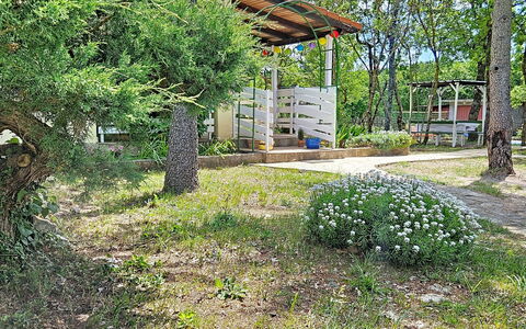 Country Pleasures Cottage: Busk, Have, Plantesamfund, Bunddække, Forår, Skygge, Backyard, Lawn, Jord