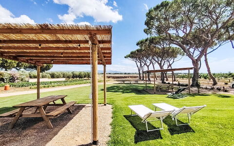 Bibbona 15: Skygge, Have, Lawn, Landscaping, Parkere, Udendørs Struktur, Tømmer