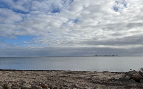 Algut - 80M from the Sea