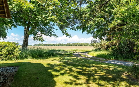 Fausta - 2Km from the Sea: Blå, Grøn, Daytime, Græs, Træ, Natur, Naturligt Miljø, Blad, Afdeling, Græs-