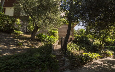 Villa Sole - Exclusive Villa al Conero con Piscina: Blad, Afdeling, Natur, Vegetationen, Busk, Have, Plantesamfund, Landskab, Kvist
