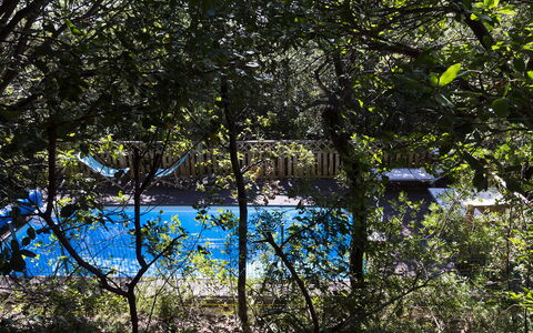 Villa Sole - Exclusive Villa al Conero con Piscina: Blå, Natur, Blad, Afdeling, Svømmepøl, Skygge, Sollys, Kvist, Have, Backyard