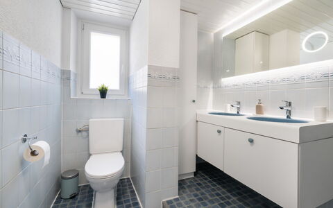 Apartment Troja: Badeværelse, Sanitærarmatur, Gulvbelægning, Badeværelsesvask, Toiletbræt, Håndvask, Væg, Toilet, Etage, Indretning