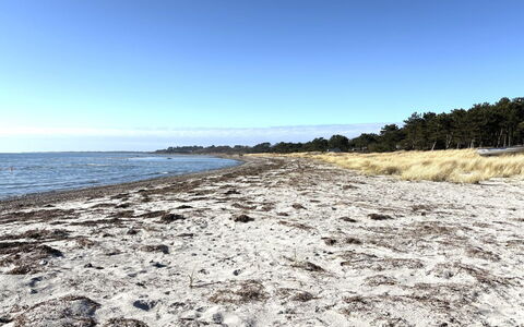 Euphemia - 200M from the Sea: Vand, Strand, Kyst, Kyst, Horisont, Coastal Og Oceaniske Landskabsformer, Hav, Sand, Ocean