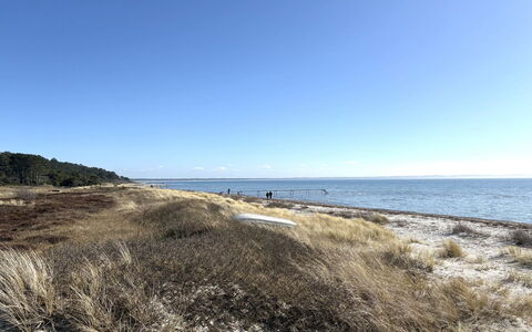 Euphemia - 200M from the Sea: Himmel, Kyst, Horisont, Strand, Coastal Og Oceaniske Landskabsformer, Hav, Kyst, Økoregion, Ocean, Sand