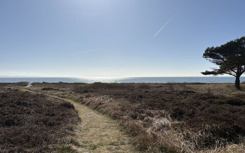 Euphemia - 200M from the Sea: Himmel, Blå, Græs, Horisont, Vegetationen, Økoregion, Naturlige Landskab, Græs-, Almindeligt, Plantesamfund