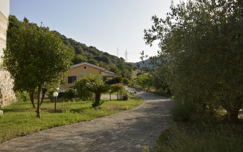 Villa del Monte: Vegetationen, Landskab, Busk, Landdistrikt, Indkørsel, Bjerglandsby, Sti, Walkway, Sti