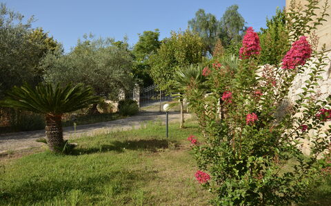 Villa del Monte: Blomst, Busk, Have, Lyserød, Forår, Blomstrende Plante, Landscaping, Botanisk Have, Gård